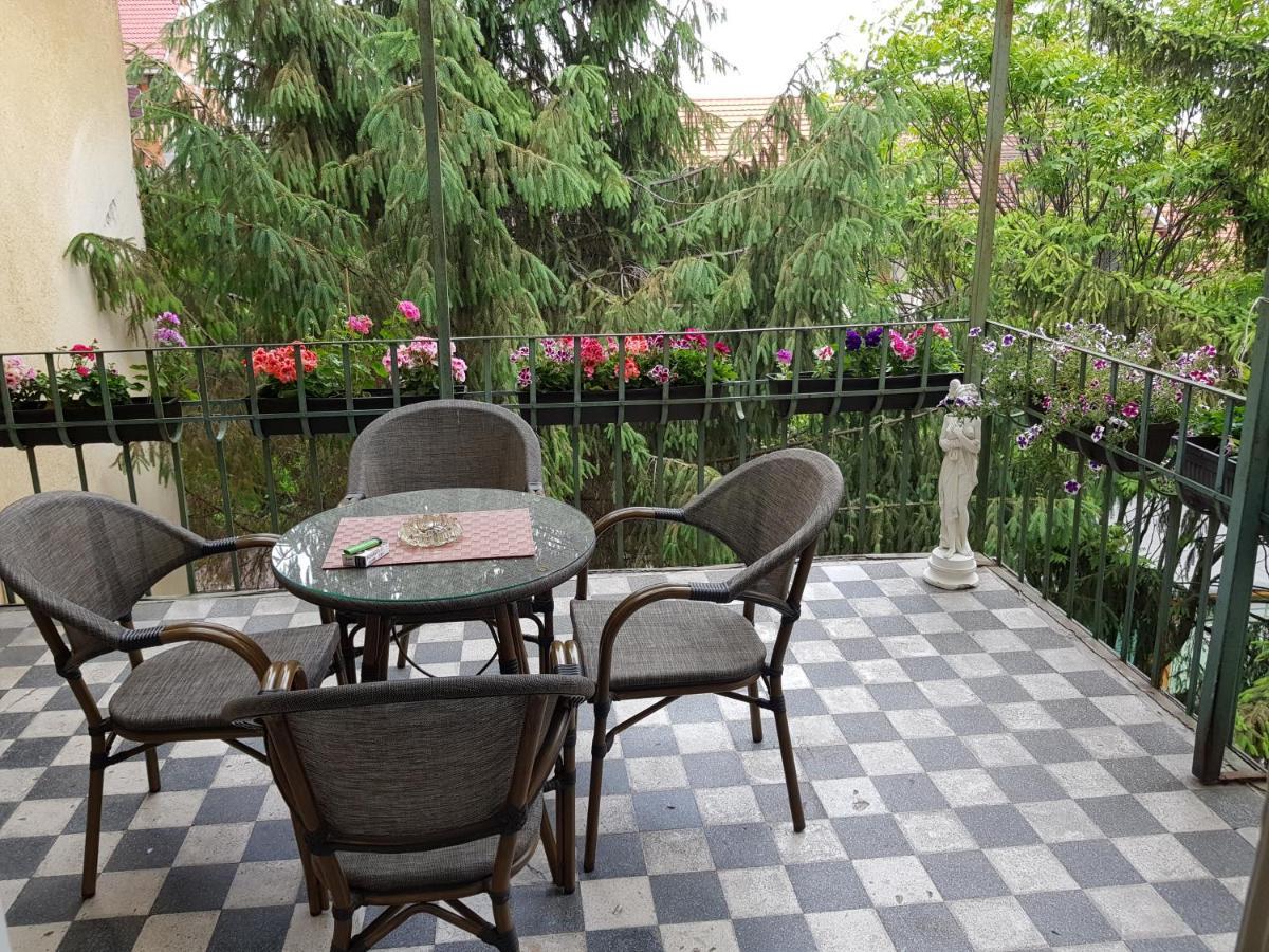 City Center Dream Apartment Timisoara Bagian luar foto