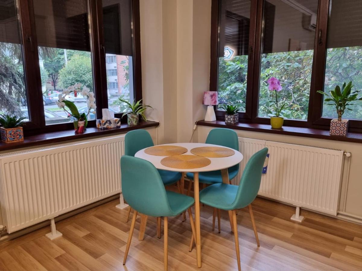 City Center Dream Apartment Timisoara Bagian luar foto